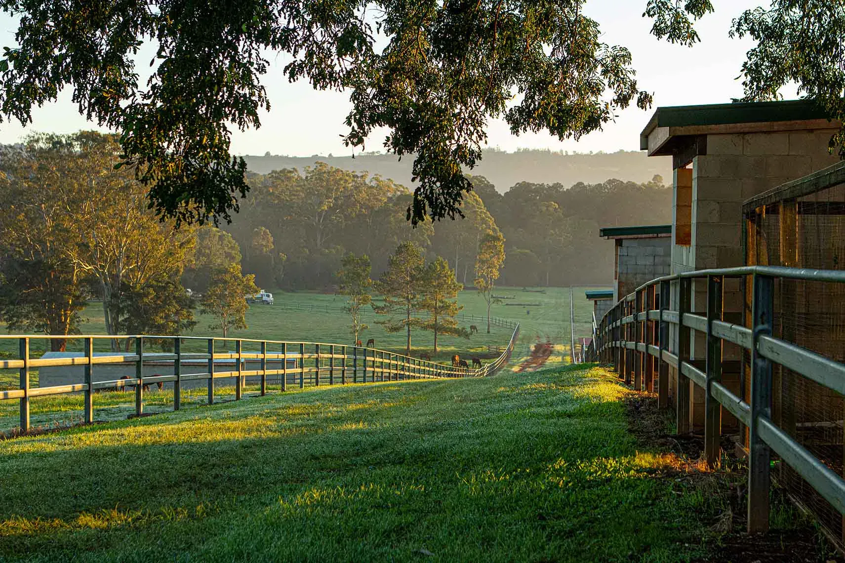 Around the property at Peachester Lodge
