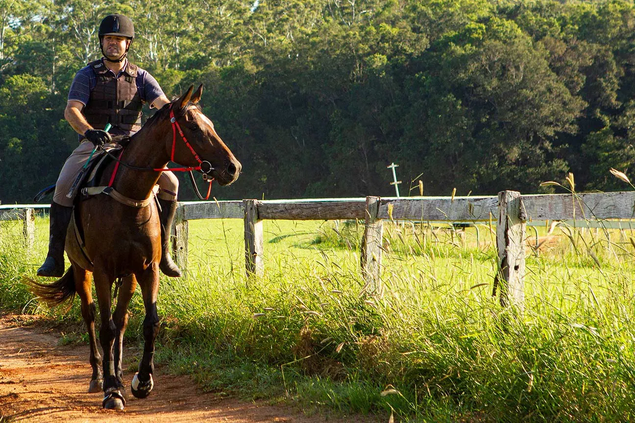 Filly